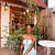 Post: 💔 MY LESSON TEACHER OPENED MY LEGS AND MY BODY  🥒🍏🥒✍🏽Written by Vickys Stories...